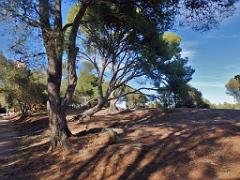 183 HYERES ET SES PALMIERS D15_000056